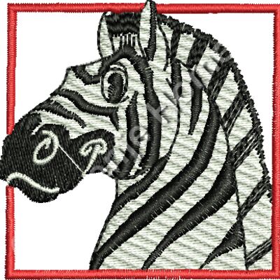 Zebra v okvirju Thumbnail